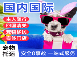 深圳宝安航空运输国际宠物托运 【国